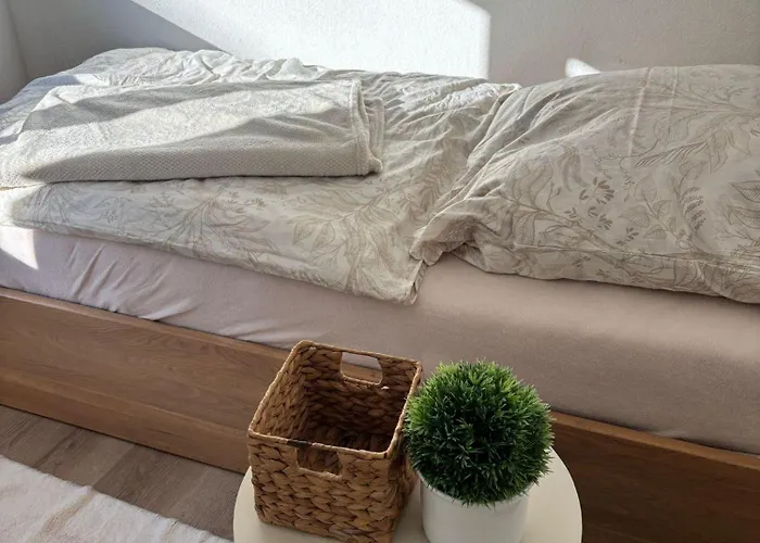 Enjoy * 阿尔特纳尔